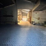 IMG_8856