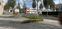 IMG_8908(1)