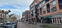 IMG_0835 IMG_0835